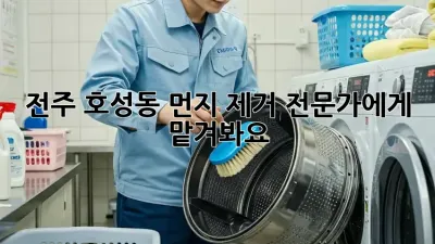 전주 호성동 먼지 제거, 전문가에게 맡겨봐요!