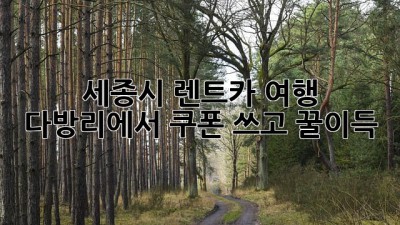 🚗 세종시 렌트카 여행, 다방리에서 쿠폰 쓰고 꿀이득! 🍯