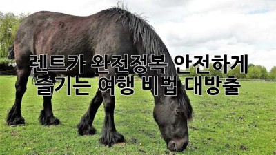 🚗 렌트카 완전정복: 안전하게 즐기는 여행 비법 대방출! 🥳